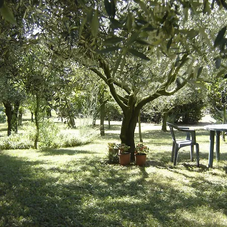 ベッド・アンド・ブレックファスト Il Boschetto 3*