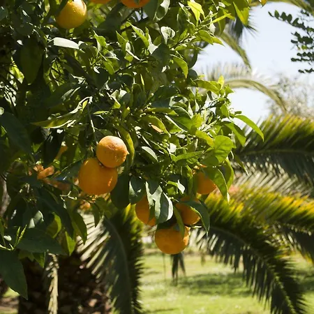 Il Boschetto 3* Porto SantʼElpidio