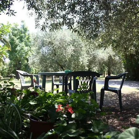 Il Boschetto 3* Porto SantʼElpidio