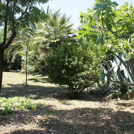 ベッド・アンド・ブレックファスト Il Boschetto