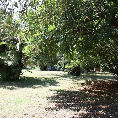 ベッド・アンド・ブレックファスト Il Boschetto Porto SantʼElpidio