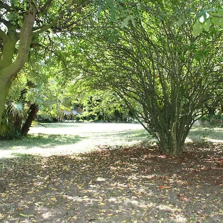 ベッド・アンド・ブレックファスト Il Boschetto 3*