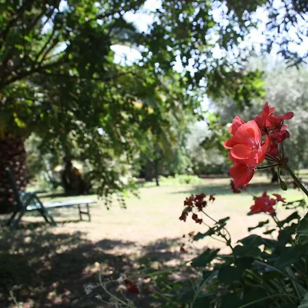 Il Boschetto Couette-café