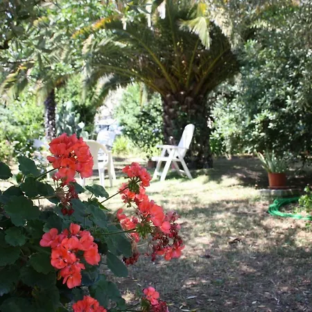 Il Boschetto ベッド・アンド・ブレックファスト Porto SantʼElpidio