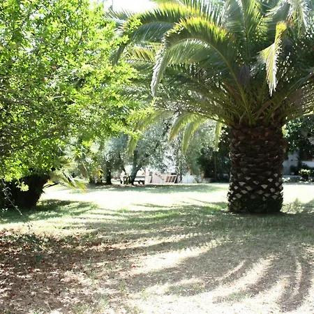 Il Boschetto 3* Porto SantʼElpidio