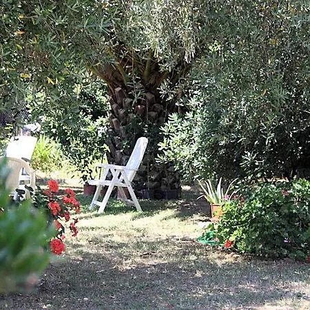 Il Boschetto Bed & Breakfast Porto SantʼElpidio