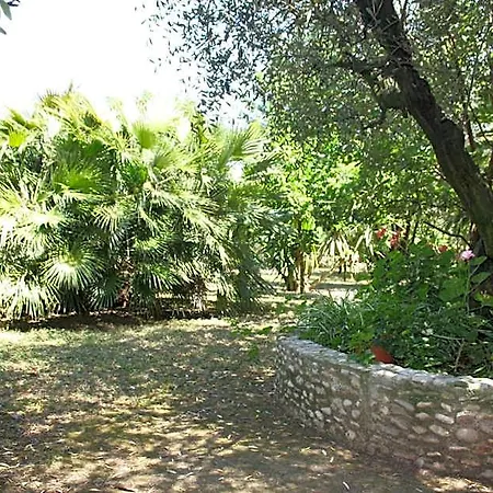 Bed & Breakfast Il Boschetto Porto SantʼElpidio