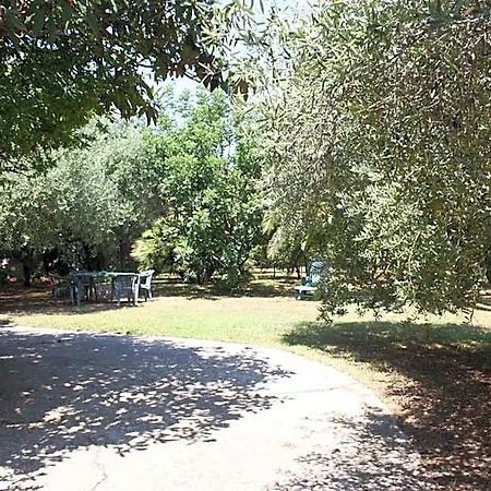 Bed & Breakfast Il Boschetto 3*