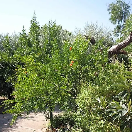 Bed & Breakfast Il Boschetto