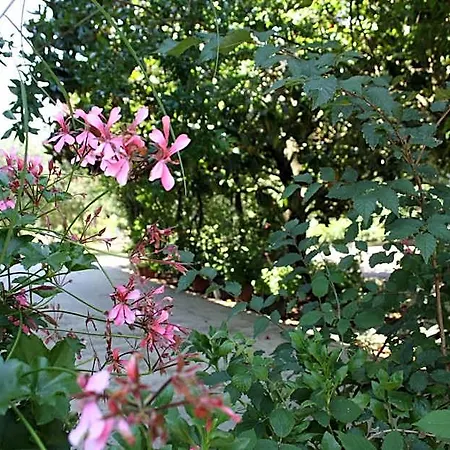 Bed & Breakfast Il Boschetto 3*