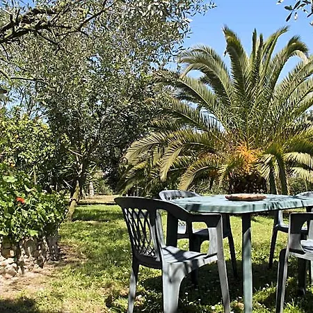 Il Boschetto Bed & Breakfast Porto SantʼElpidio