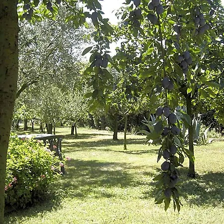 Il Boschetto Bed & Breakfast