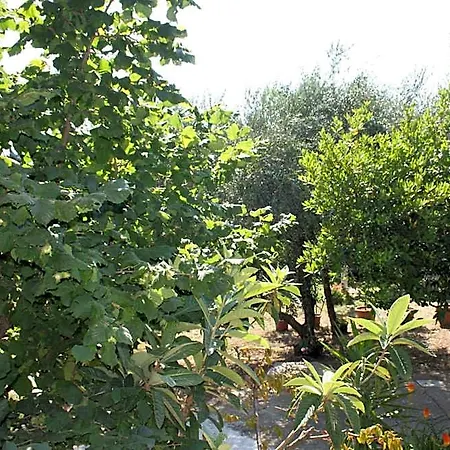 Il Boschetto Bed & Breakfast 3*