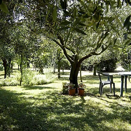 Bed & Breakfast Il Boschetto