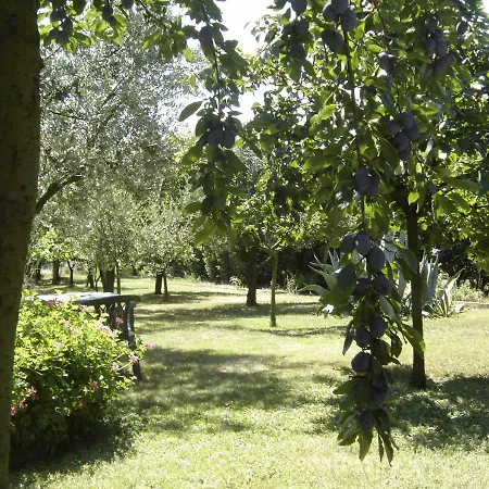 Il Boschetto Bed & Breakfast Porto Sant'Elpidio