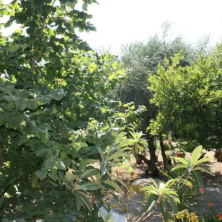 Bed & Breakfast Il Boschetto 3*