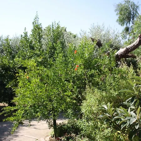 Il Boschetto Bed & Breakfast Porto Sant'Elpidio