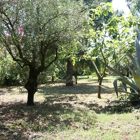 Panzió Il Boschetto Porto SantʼElpidio