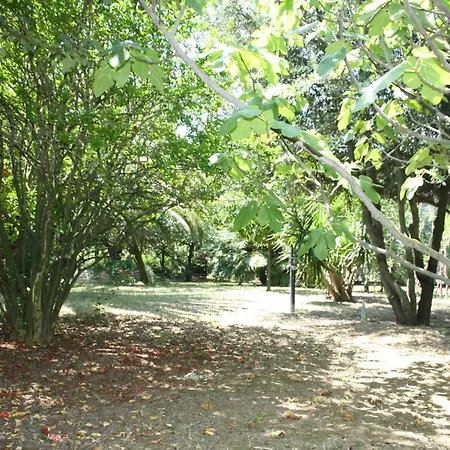 Il Boschetto 3* Porto Sant'Elpidio