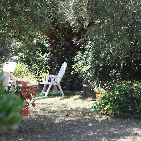Il Boschetto Panzió Porto SantʼElpidio