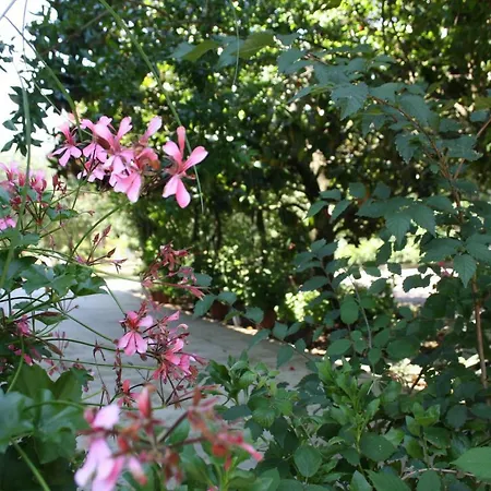 Bed & Breakfast Il Boschetto 3*