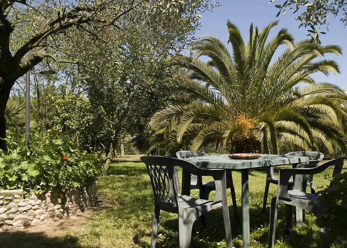 Bed & Breakfast Il Boschetto Porto Sant'Elpidio