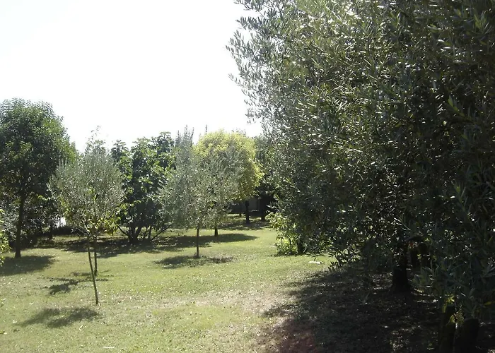 Il Boschetto 3* Porto Sant'Elpidio