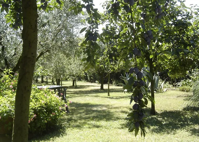 Il Boschetto Bed & Breakfast Porto Sant'Elpidio