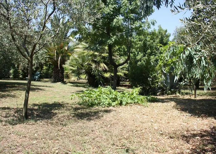 Bed & Breakfast Il Boschetto