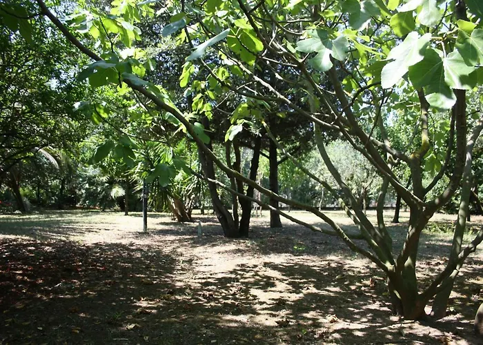 Bed & Breakfast Il Boschetto 3*