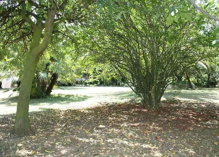 Bed & Breakfast Il Boschetto 3*