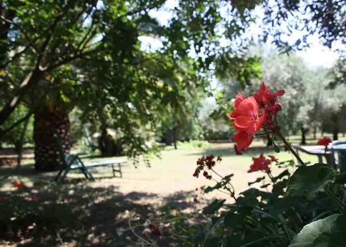 Il Boschetto Bed & Breakfast