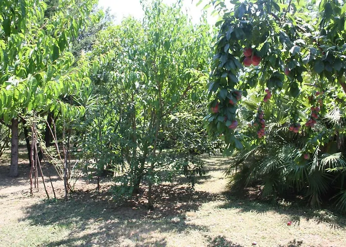 Il Boschetto Bed & Breakfast Porto Sant'Elpidio