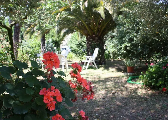 Il Boschetto Bed & Breakfast Porto Sant'Elpidio